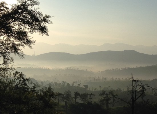 JJ-SouthIndia-550X550-2 JJ-SouthIndia-550X550-2